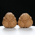 “Three-Ridged” Collector's Y-Form Onigiri Toad Head Triple-Ridge Wenwan Walnuts Pair | Size:38L*37W*35H | UPI:UR-00114