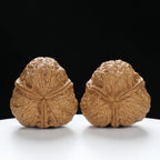 “Three-Ridged” Collector's Y-Form Onigiri Toad Head Triple-Ridge Wenwan Walnuts Pair | Size:38L*37W*35H | UPI:UR-00114