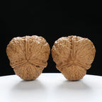 “Three-Ridged” Collector's Y-Form Onigiri Toad Head Triple-Ridge Wenwan Walnuts Pair | Size:38L*37W*35H | UPI:UR-00114