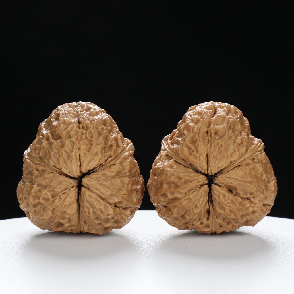 “Three-Ridged” Collector's Y-Form Onigiri Toad Head Triple-Ridge Wenwan Walnuts Pair | Size:38L*37W*35H | UPI:UR-00114