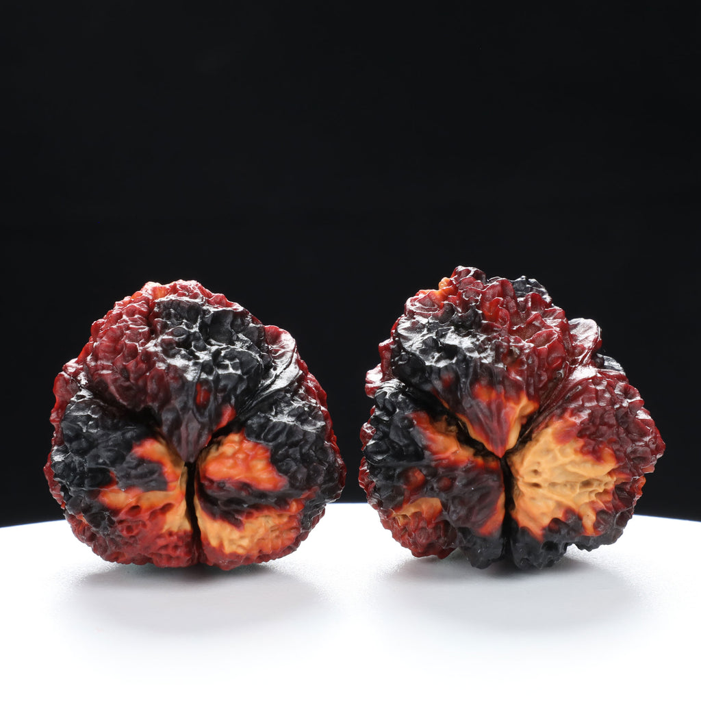 “Three-Ridged” Earth-Cured Tri-Color Coral Grain Y-Form Iron Triple-Ridge Walnuts Pair | Size:35L*35W*44H | UPI:UR-00115