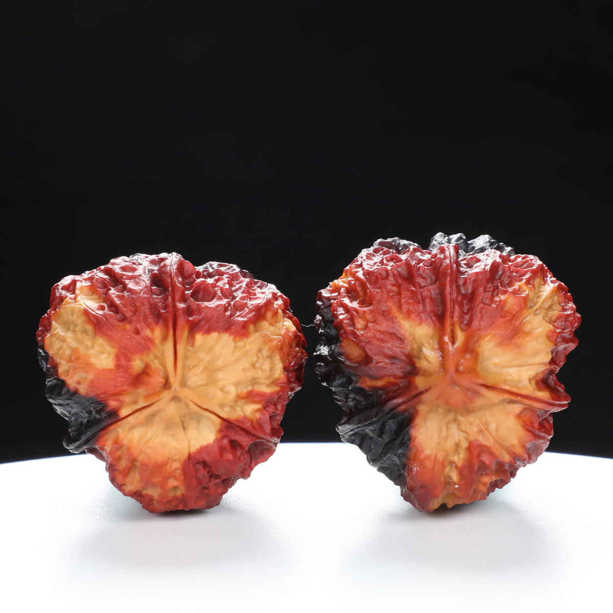“Three-Ridged” Earth-Cured Tri-Color Coral Grain Y-Form Iron Triple-Ridge Walnuts Pair | Size:35L*35W*44H | UPI:UR-00115