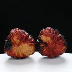 “Three-Ridged” Stout Y-Shaped Coral Cluster Tri-Color Iron Triple-Ridge Walnuts Pair | Size:35L*34W*41H | UPI:UR-00116