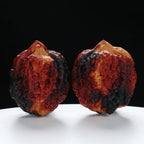 “Three-Ridged” Stout Y-Shaped Coral Cluster Tri-Color Iron Triple-Ridge Walnuts Pair | Size:35L*34W*41H | UPI:UR-00116
