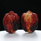 “Three-Ridged” Stout Y-Shaped Coral Cluster Tri-Color Iron Triple-Ridge Walnuts Pair | Size:35L*34W*41H | UPI:UR-00116