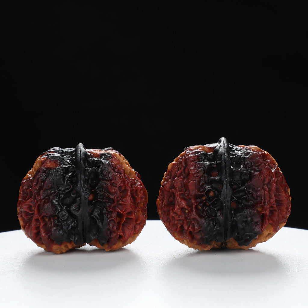 “Toad Head” Highly Matched 3-Tone Coral Grain Toad Wenwan Walnuts Pair | Size:30L*38W*33H | UPI:UR-00117