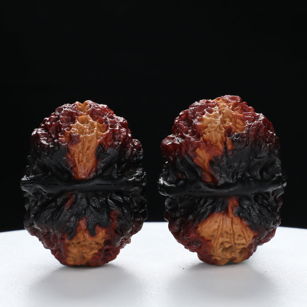 “Toad Head” Highly Matched 3-Tone Coral Grain Toad Wenwan Walnuts Pair | Size:30L*38W*33H | UPI:UR-00117