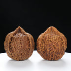 “Three-Ridged” Hand-Matched Symmetrical Three-Spoke Iron Peach Triple-Ridge Walnuts Pair | Size:39L*39W*43H | UPI:UR-00118