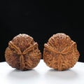 “Three-Ridged” Hand-Matched Symmetrical Three-Spoke Iron Peach Triple-Ridge Walnuts Pair | Size:39L*39W*43H | UPI:UR-00118