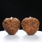“Three-Ridged” Hand-Matched Symmetrical Three-Spoke Iron Peach Triple-Ridge Walnuts Pair | Size:39L*39W*43H | UPI:UR-00118
