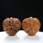 “Three-Ridged” Hand-Matched Symmetrical Three-Spoke Iron Peach Triple-Ridge Walnuts Pair | Size:39L*39W*43H | UPI:UR-00118