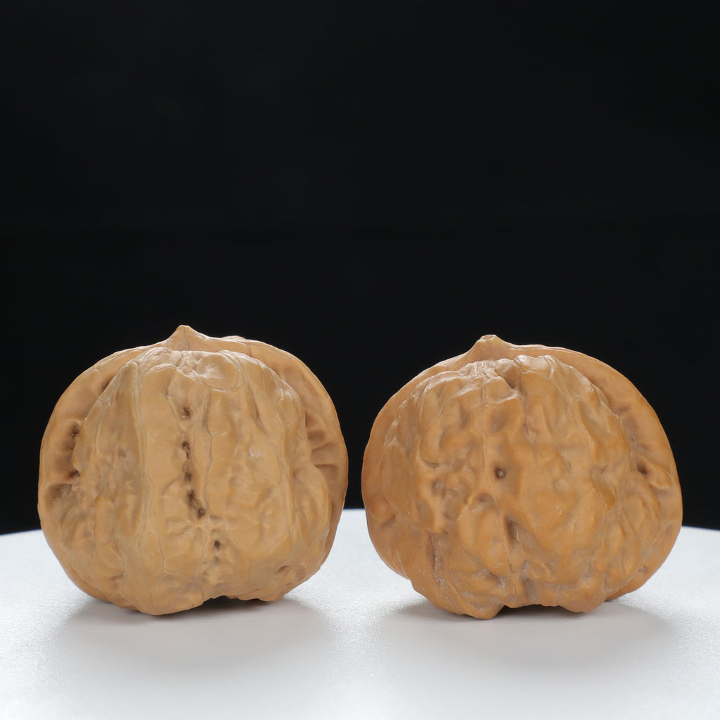 "Toad Head" Time-honored entry level Wenwan Walnuts Pair | Size:35L*36W*31H | UPI:UR-00119