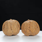 "Toad Head" Time-honored entry level Wenwan Walnuts Pair | Size:35L*36W*31H | UPI:UR-00119