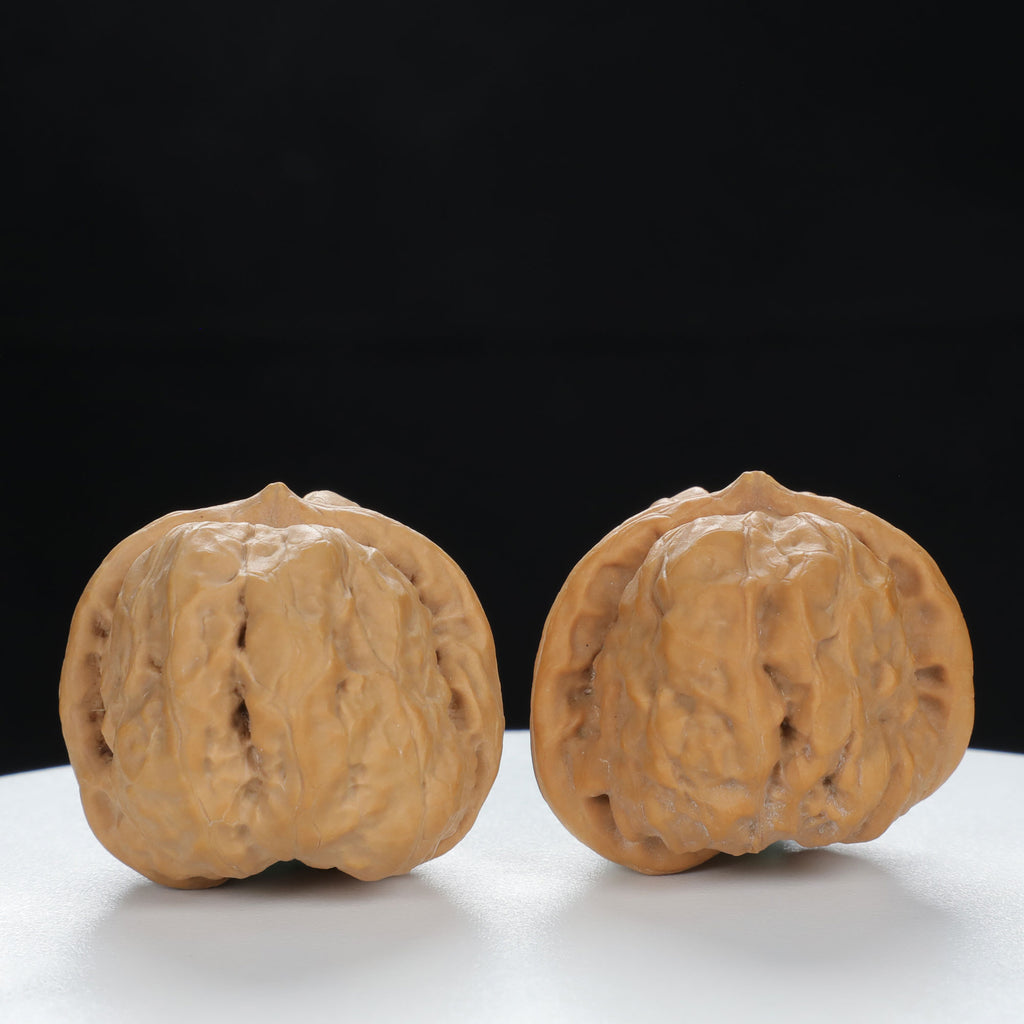 "Toad Head" Time-honored entry level Wenwan Walnuts Pair | Size:35L*36W*31H | UPI:UR-00119