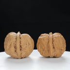 "Toad Head" Time-honored entry level Wenwan Walnuts Pair | Size:35L*36W*31H | UPI:UR-00119