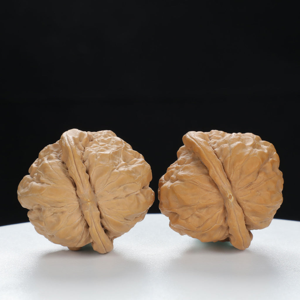"Toad Head" Time-honored entry level Wenwan Walnuts Pair | Size:35L*36W*31H | UPI:UR-00119