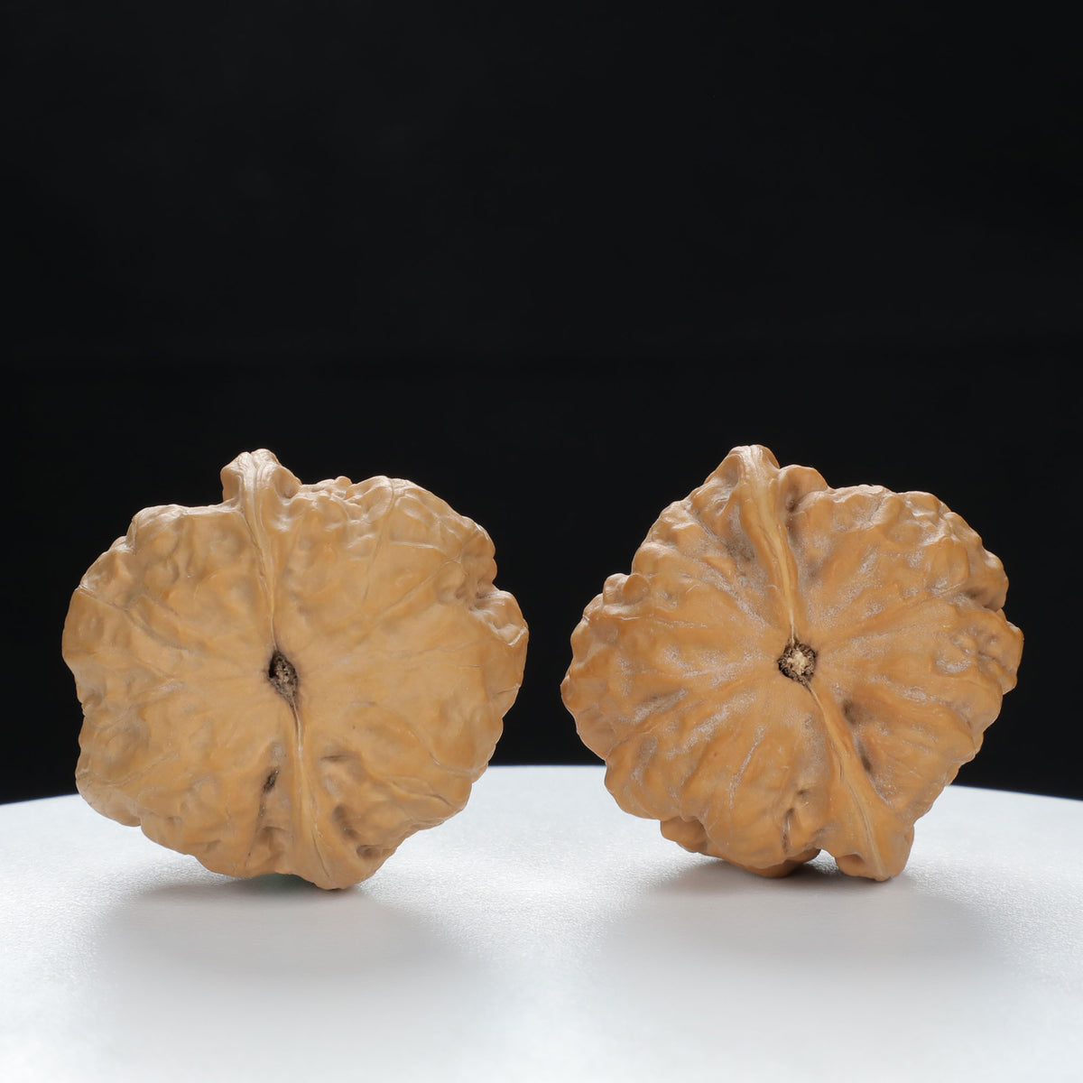 "Toad Head" Time-honored entry level Wenwan Walnuts Pair | Size:35L*36W*31H | UPI:UR-00119