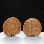 "Nanjiang Stone" Classic entry level Wenwan Walnuts Pair | Size:37L*35W*36H | UPI:UR-00120