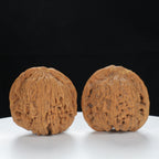 "Nanjiang Stone" Classic entry level Wenwan Walnuts Pair | Size:37L*35W*36H | UPI:UR-00120