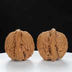 "Nanjiang Stone" Classic entry level Wenwan Walnuts Pair | Size:37L*35W*36H | UPI:UR-00120