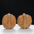 "Nanjiang Stone" Classic entry level Wenwan Walnuts Pair | Size:37L*35W*36H | UPI:UR-00120
