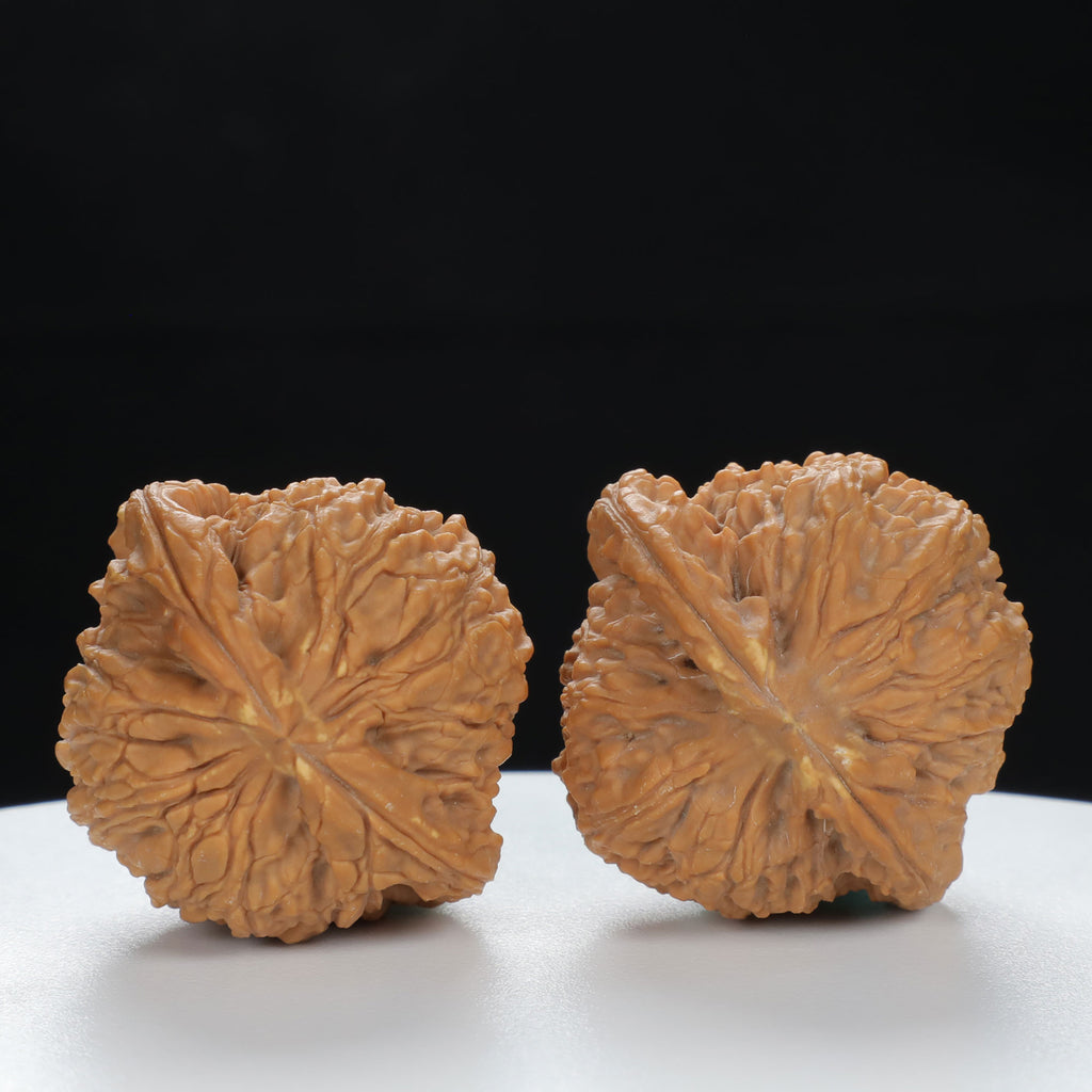 "Nanjiang Stone" Classic entry level Wenwan Walnuts Pair | Size:37L*35W*36H | UPI:UR-00120