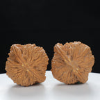 "Nanjiang Stone" Classic entry level Wenwan Walnuts Pair | Size:37L*35W*36H | UPI:UR-00120