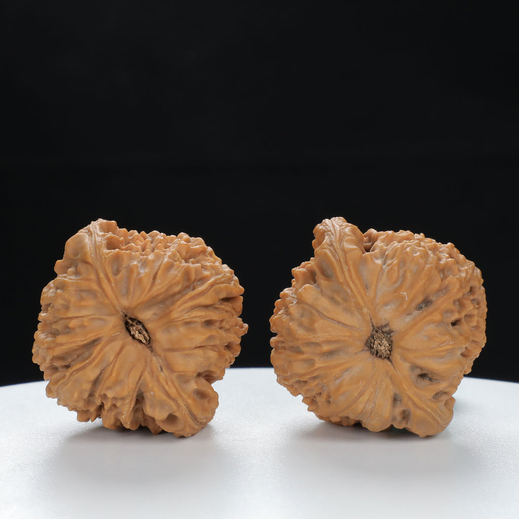 "Nanjiang Stone" Classic entry level Wenwan Walnuts Pair | Size:37L*35W*36H | UPI:UR-00120
