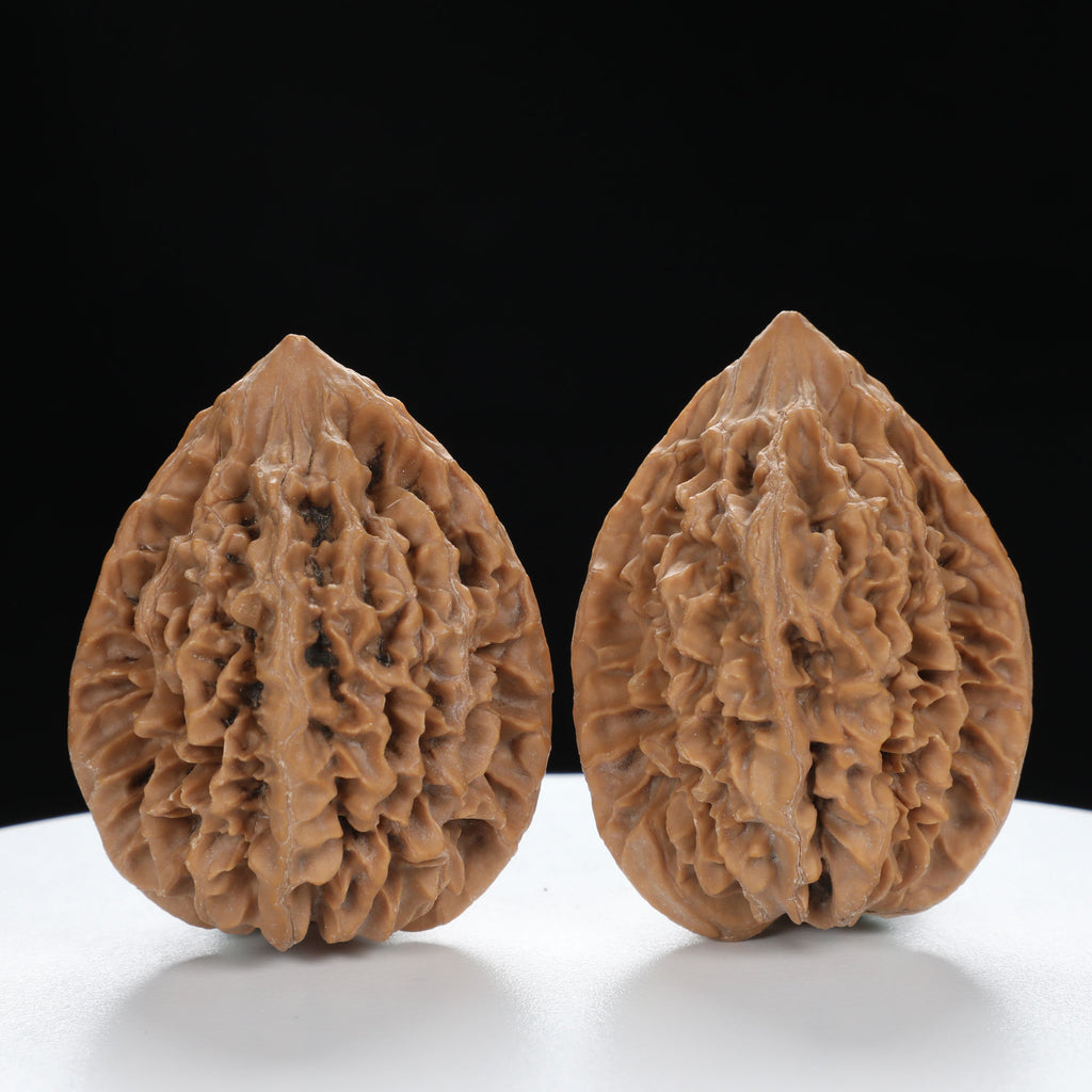 “Fortune Mouse / Bodhi Seed”  Fortune Rat (Nine-Story Pagoda Origin) Tall-Stature Wenwan Walnuts Pair | Size:41L*42W*53H | UPI:UR-00121