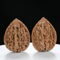 “Fortune Mouse / Bodhi Seed”  Fortune Rat (Nine-Story Pagoda Origin) Tall-Stature Wenwan Walnuts Pair | Size:41L*42W*53H | UPI:UR-00121