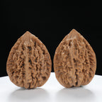 “Fortune Mouse / Bodhi Seed”  Fortune Rat (Nine-Story Pagoda Origin) Tall-Stature Wenwan Walnuts Pair | Size:41L*42W*53H | UPI:UR-00121