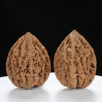“Fortune Mouse / Bodhi Seed”  Fortune Rat (Nine-Story Pagoda Origin) Tall-Stature Wenwan Walnuts Pair | Size:41L*42W*53H | UPI:UR-00121