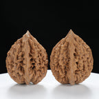 “Fortune Mouse / Bodhi Seed”  Fortune Rat (Nine-Story Pagoda Origin) Tall-Stature Wenwan Walnuts Pair | Size:41L*42W*53H | UPI:UR-00121