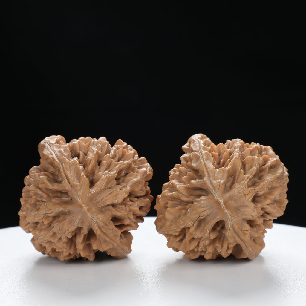 “Fortune Mouse / Bodhi Seed”  Fortune Rat (Nine-Story Pagoda Origin) Tall-Stature Wenwan Walnuts Pair | Size:41L*42W*53H | UPI:UR-00121