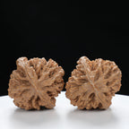 “Fortune Mouse / Bodhi Seed”  Fortune Rat (Nine-Story Pagoda Origin) Tall-Stature Wenwan Walnuts Pair | Size:41L*42W*53H | UPI:UR-00121