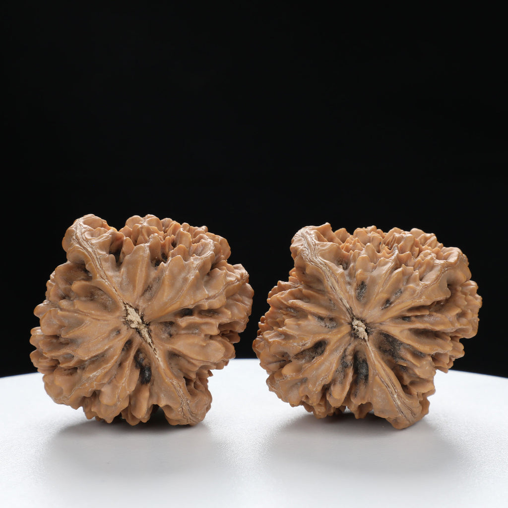 “Fortune Mouse / Bodhi Seed”  Fortune Rat (Nine-Story Pagoda Origin) Tall-Stature Wenwan Walnuts Pair | Size:41L*42W*53H | UPI:UR-00121