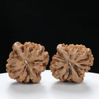 “Fortune Mouse / Bodhi Seed”  Fortune Rat (Nine-Story Pagoda Origin) Tall-Stature Wenwan Walnuts Pair | Size:41L*42W*53H | UPI:UR-00121