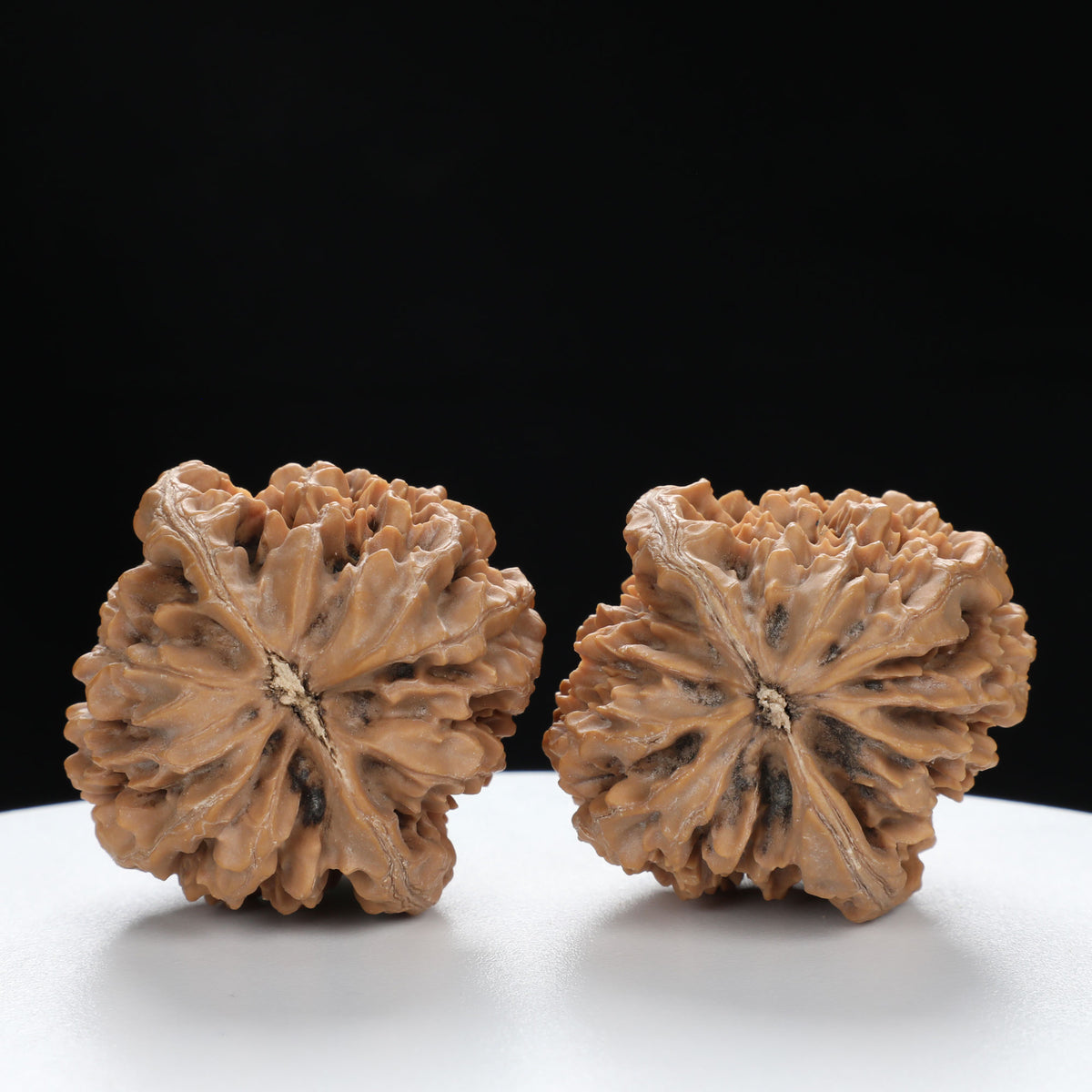 “Fortune Mouse / Bodhi Seed”  Fortune Rat (Nine-Story Pagoda Origin) Tall-Stature Wenwan Walnuts Pair | Size:41L*42W*53H | UPI:UR-00121