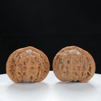 "Palace Lantern" Timeless entry level Wenwan Walnuts Pair | Size:40L*37W*33H | UPI:UR-00122
