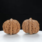 "Palace Lantern" Timeless entry level Wenwan Walnuts Pair | Size:40L*37W*33H | UPI:UR-00122