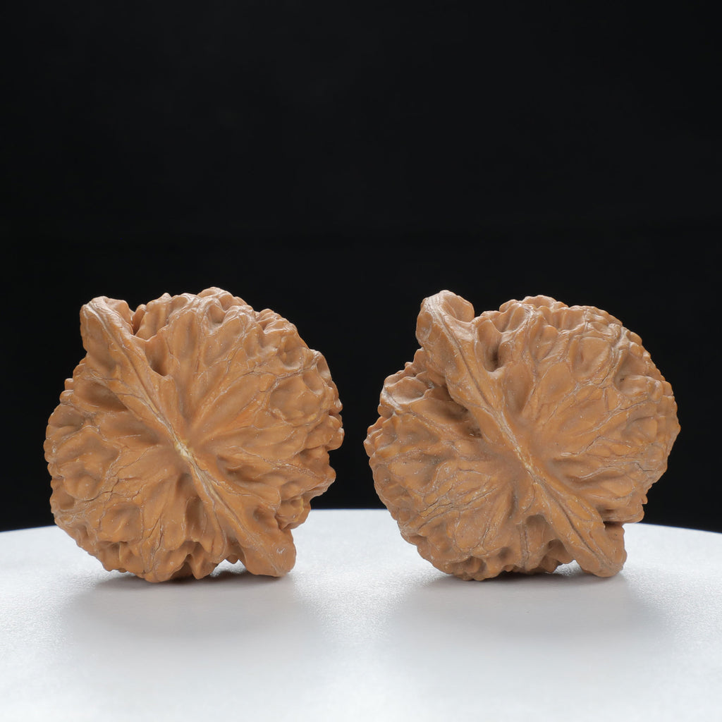 "Palace Lantern" Timeless entry level Wenwan Walnuts Pair | Size:40L*37W*33H | UPI:UR-00122