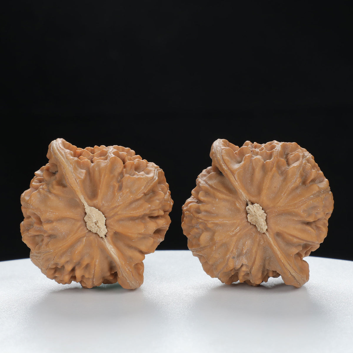 "Palace Lantern" Timeless entry level Wenwan Walnuts Pair | Size:40L*37W*33H | UPI:UR-00122