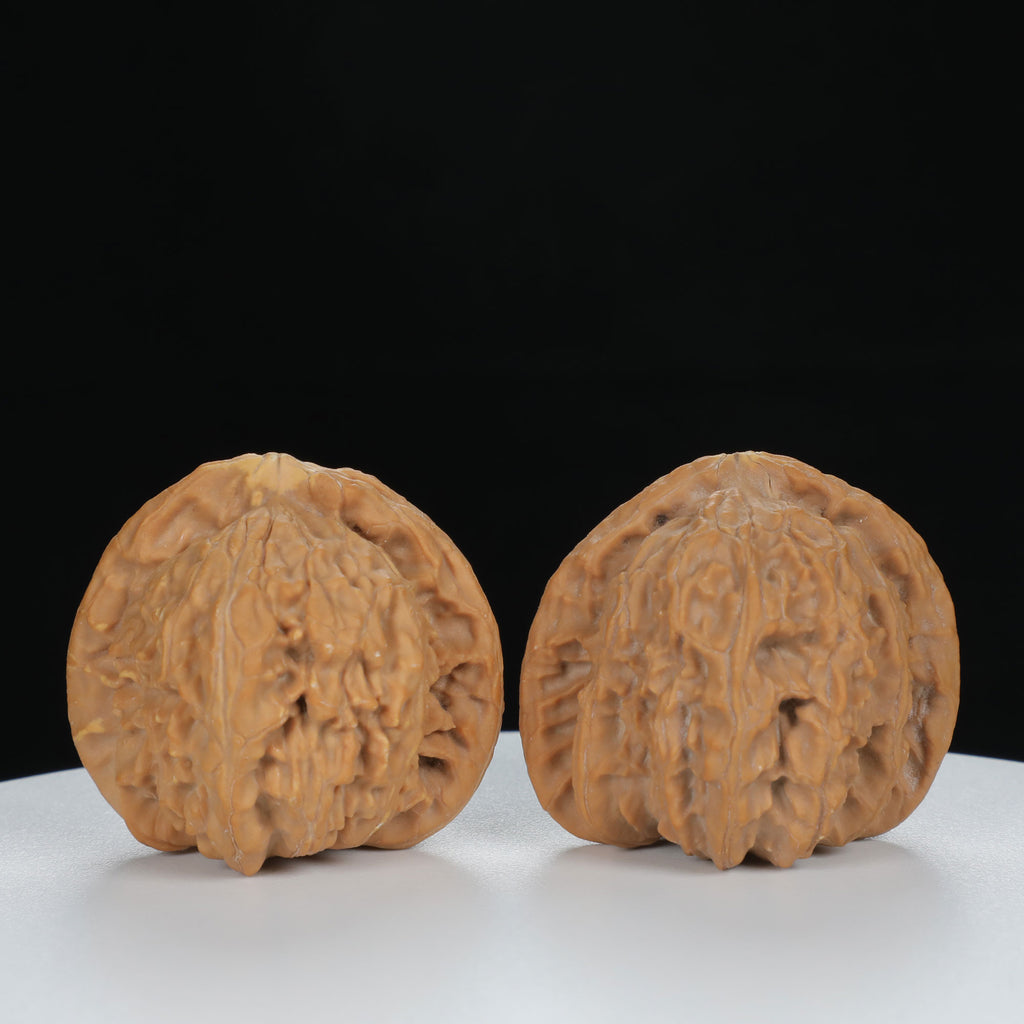 "White Lion's Head" Essential entry level Wenwan Walnuts Pair | Size:40L*38W*36H | UPI:UR-00123