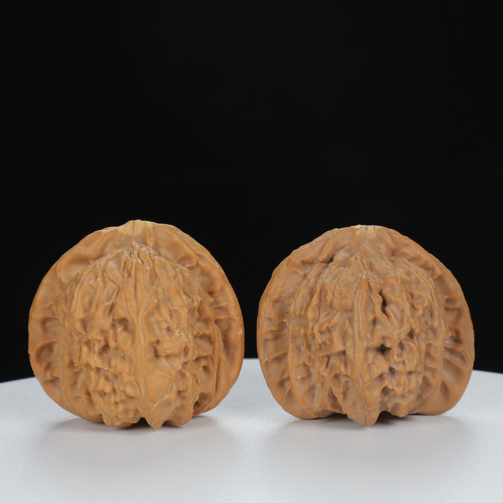 "White Lion's Head" Essential entry level Wenwan Walnuts Pair | Size:40L*38W*36H | UPI:UR-00123