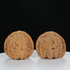 "White Lion's Head" Essential entry level Wenwan Walnuts Pair | Size:40L*38W*36H | UPI:UR-00123