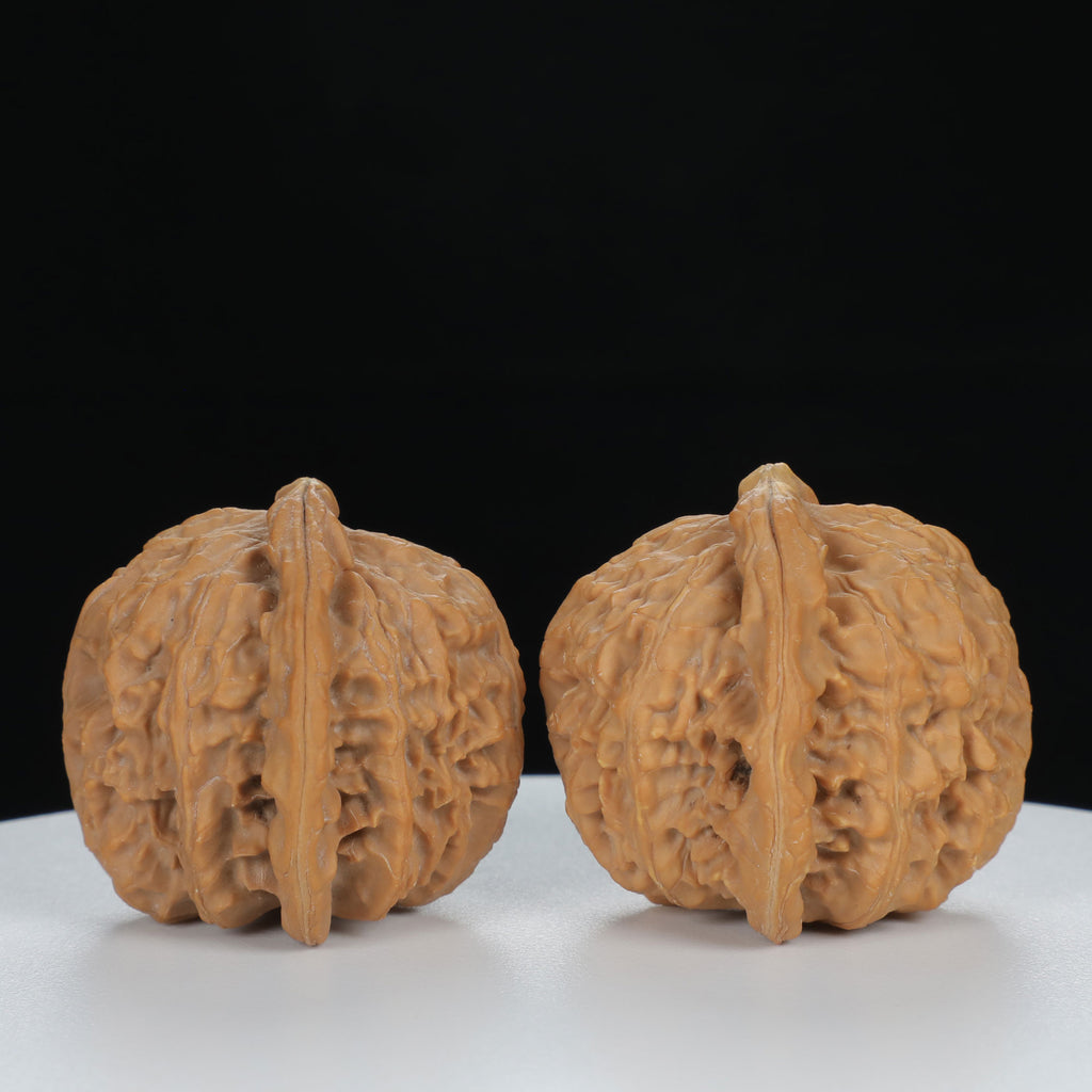 "White Lion's Head" Essential entry level Wenwan Walnuts Pair | Size:40L*38W*36H | UPI:UR-00123