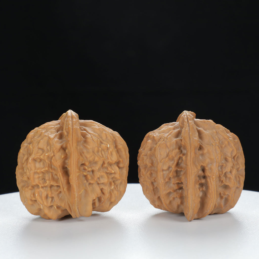 "White Lion's Head" Essential entry level Wenwan Walnuts Pair | Size:40L*38W*36H | UPI:UR-00123