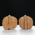 "White Lion's Head" Essential entry level Wenwan Walnuts Pair | Size:40L*38W*36H | UPI:UR-00123