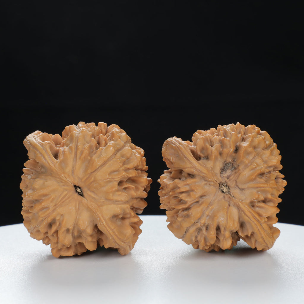 "Large Mandarin Hat" Traditional entry level Wenwan Walnuts Pair | Size:43L*39W*45H | UPI:UR-00124
