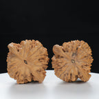 "Large Mandarin Hat" Traditional entry level Wenwan Walnuts Pair | Size:43L*39W*45H | UPI:UR-00124
